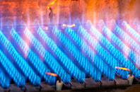 Elcot gas fired boilers